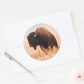 American Bison (Bison Bison) Herd In Teton 2 Ronde Sticker (Envelop)