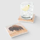 American Bison (Bison Bison) Herd In Teton 2 Stenen Onderzetter (Zijkant)