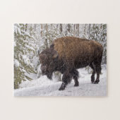 American Bison (Bison bison) Puzzle Legpuzzel (Horizontaal)