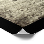 American Bison Buffalo Photo 1906 Poster (Hoek)