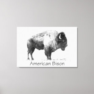 American Bison Canvas Afdruk