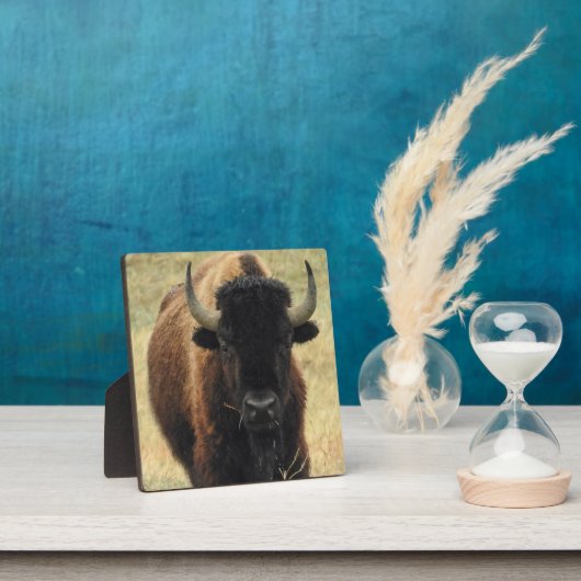 American Bison Desktop Plaque Fotoplaat (Insitu)