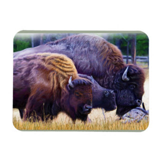 American Bison Family Magneet