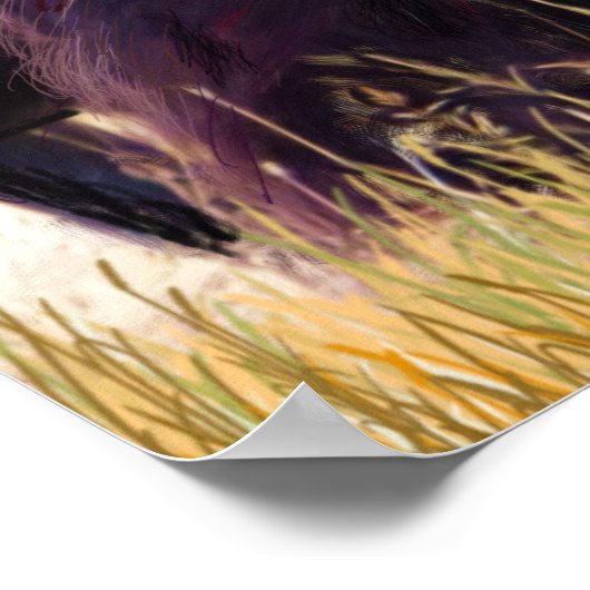 American Bison Family Poster (Hoek)