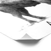 American Bison Foto Afdruk (Hoek)