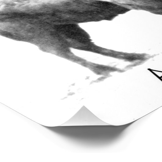 American Bison Foto Afdruk (Hoek)