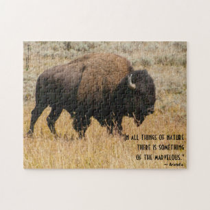 American Bison Grazes in Meadow Grass Foto aangepa Legpuzzel