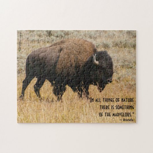 American Bison Grazes in Meadow Grass Foto aangepa Legpuzzel (Horizontaal)