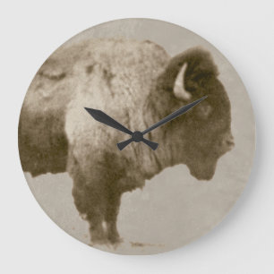 American Bison Grote Klok