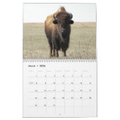 American Bison Kalender (Mar 2026)