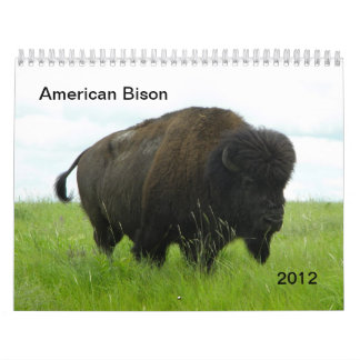 American Bison Kalender