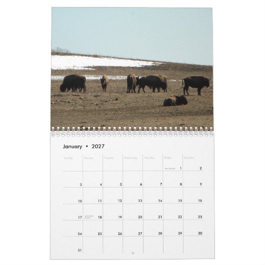 American Bison Kalender (Jan 2027)