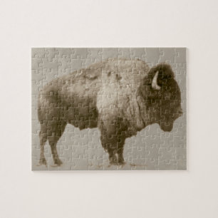 American Bison Legpuzzel