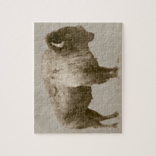 American Bison Legpuzzel (Verticaal)