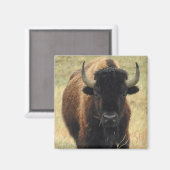 American Bison Magnet (Voorkant / Achterkant)