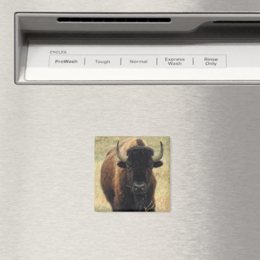 American Bison Magnet (Insitu (Vaatwasser))