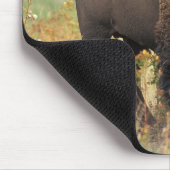 American bison muismat (Hoek)