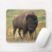 American bison muismat (Met muis)