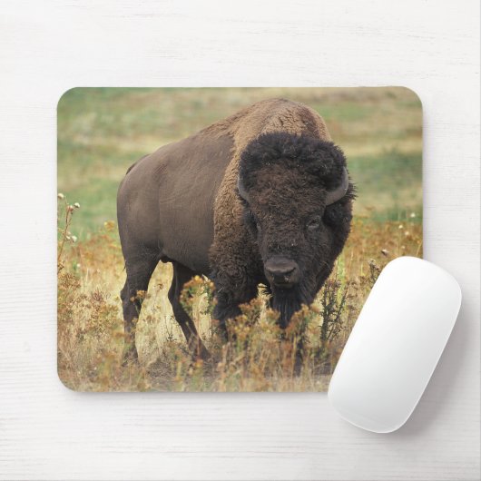 American bison muismat (Met muis)