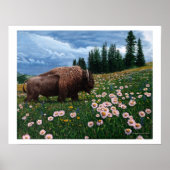 American Bison - "No Time for Flowers" Poster (Voorkant)