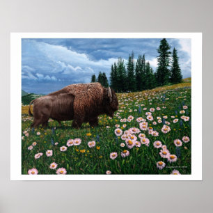 American Bison - "No Time for Flowers" Poster