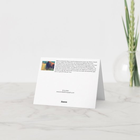 American Bison Note Kaart (Achterkant)