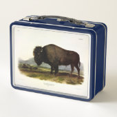 American Bison of Buffalo (Bison bison) - Audubon (Achterkant)