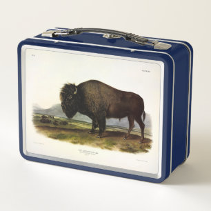 American Bison of Buffalo (Bison bison) - Audubon