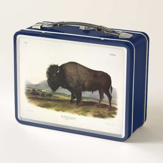American Bison of Buffalo (Bison bison) - Audubon (Achterkant)