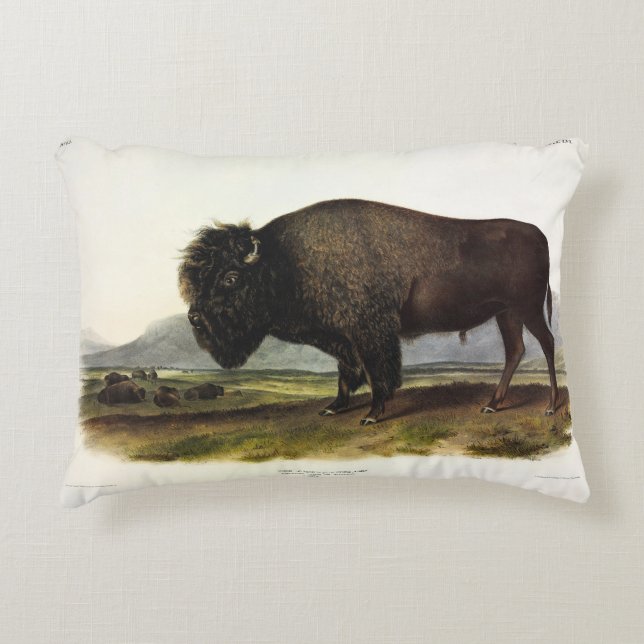 American Bison of Buffalo (Bison bison) - Audubon Accent Kussen (Voorkant)