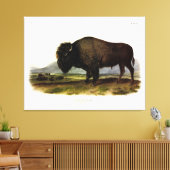 American Bison of Buffalo (Bison bison) - Audubon Canvas Afdruk (Insitu (Woonkamer))