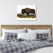 American Bison of Buffalo (Bison bison) - Audubon Canvas Afdruk (Insitu (Slaapkamer))