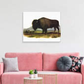 American Bison of Buffalo (Bison bison) - Audubon Canvas Afdruk (Insitu (Woonkamer))