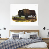 American Bison of Buffalo (Bison bison) - Audubon Canvas Afdruk (Insitu (Slaapkamer))
