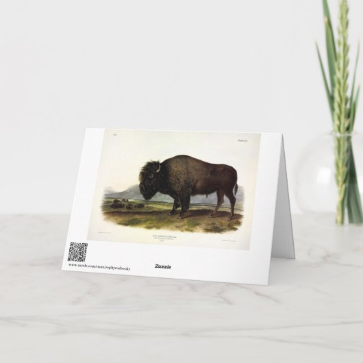 American Bison of Buffalo (Bison bison) - Audubon Kaart (Achterkant)