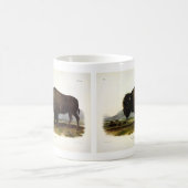 American Bison of Buffalo (Bison bison) - Audubon Koffiemok (Center)