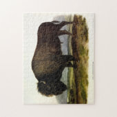 American Bison of Buffalo (Bison bison) - Audubon Legpuzzel (Verticaal)