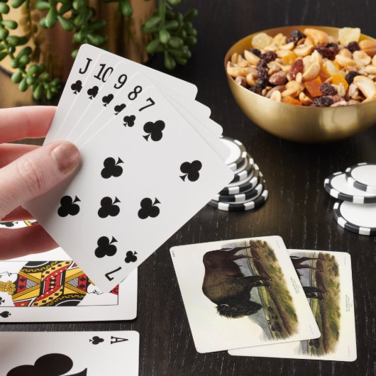 American Bison of Buffalo (Bison bison) - Audubon Pokerkaarten (Insitu)