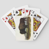 American Bison of Buffalo (Bison bison) - Audubon Pokerkaarten (Achterkant)