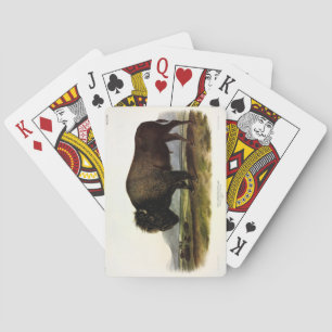 American Bison of Buffalo (Bison bison) - Audubon Pokerkaarten