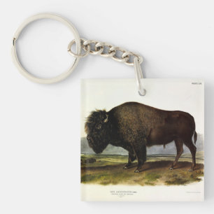 American Bison of Buffalo (Bison bison) - Audubon Sleutelhanger