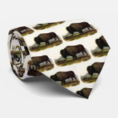 American Bison of Buffalo (Bison bison) - Audubon Stropdas (Opgerold)