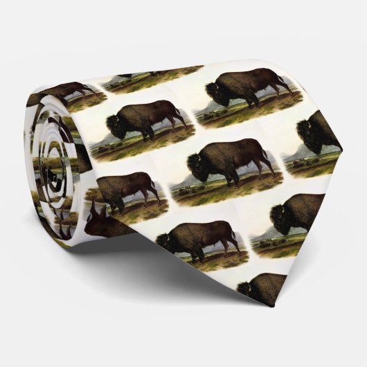 American Bison of Buffalo (Bison bison) - Audubon Stropdas (Opgerold)