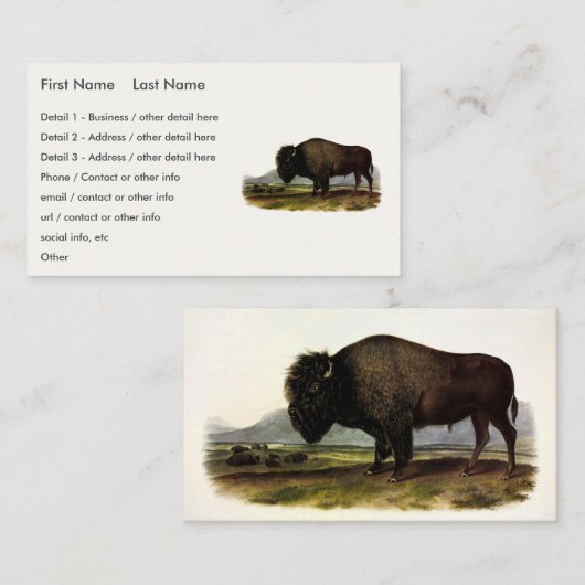 American Bison of Buffalo (Bison bison) - Audubon Visitekaartje (Voorkant / Achterkant)