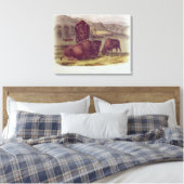American Bison of Buffalo Canvas Afdruk (Insitu (Slaapkamer))