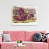 American Bison of Buffalo Canvas Afdruk (Insitu (Woonkamer))