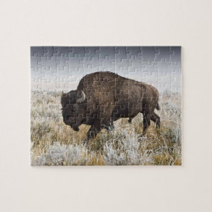 American Bison of Buffalo Legpuzzel
