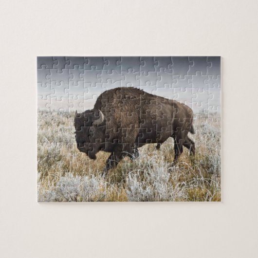American Bison of Buffalo Legpuzzel (Horizontaal)
