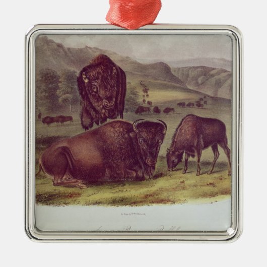 American Bison of Buffalo Metalen Ornament (Voorkant)