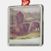 American Bison of Buffalo Metalen Ornament (Links)